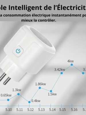 Prise intelligente compatible avec Alexa et Google Assistant