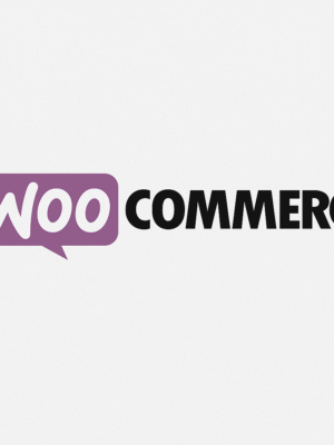 Création de boutique en ligne – WooCommerce